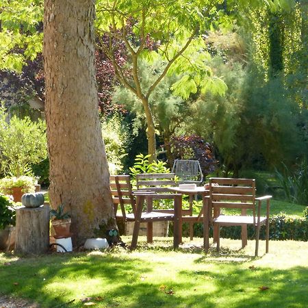 Domaine De Joreau Gennes-Val-de-Loire ภายนอก รูปภาพ