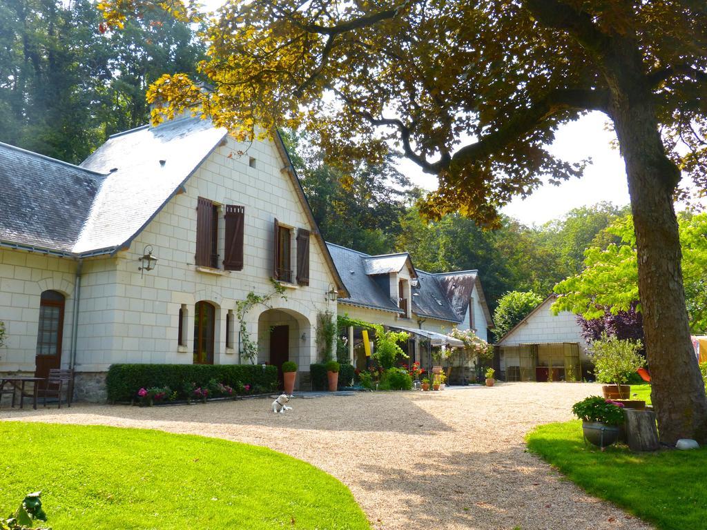 Domaine De Joreau Gennes-Val-de-Loire ภายนอก รูปภาพ