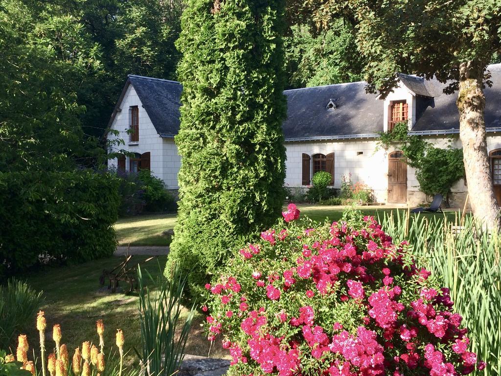 Domaine De Joreau Gennes-Val-de-Loire ภายนอก รูปภาพ