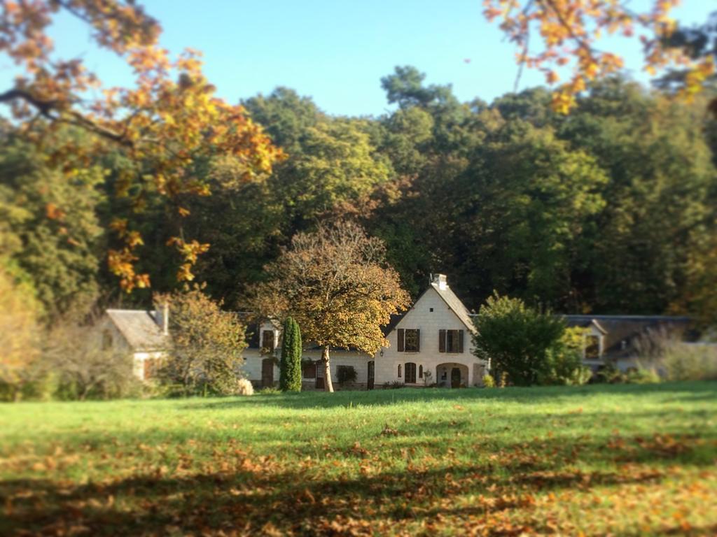 Domaine De Joreau Gennes-Val-de-Loire ภายนอก รูปภาพ