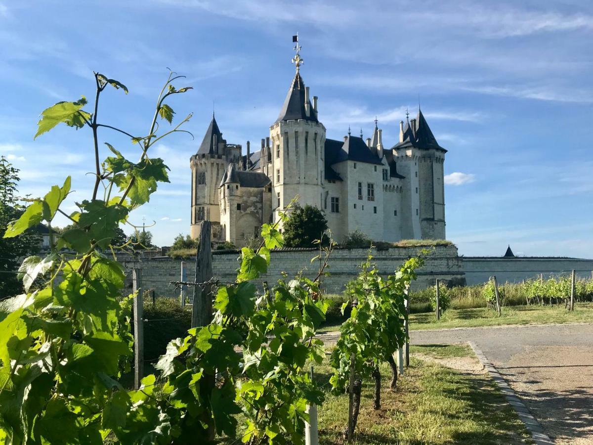 Domaine De Joreau Gennes-Val-de-Loire ภายนอก รูปภาพ